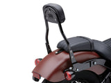 Short Quick Detatchable Sissy Bar- L/Rider 2018+